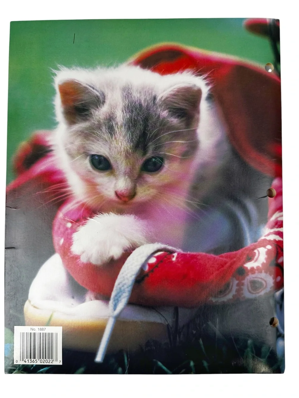 Vintage Cuddly Cuties Binder Portfolio 2 Pocket 3 Ring Cat Kitten Folder 90s Y2K